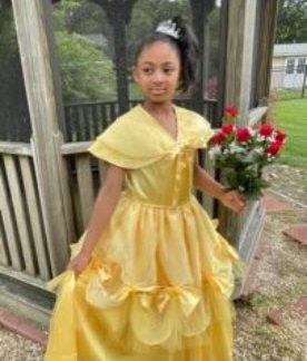princess belle two dress
